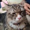 agung_misterius