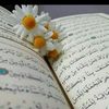 shathi.choudhury