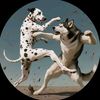✨ FUNNY DOGS ✨