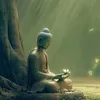 quocanh15092011