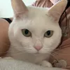 ribonbo2123