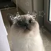 lian_urgirl23