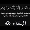 user8514929385082