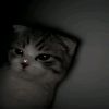 vinz.ke.4