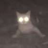 soopidperson