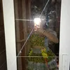 cardoso._.4