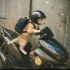 meongracing10