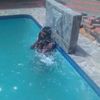 user706813147008