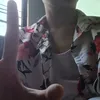 lloyd_sc1entific