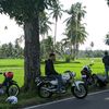 sugeng6110