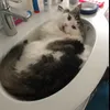 whynotbehere3