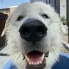 finnythefloofy