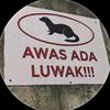 naura_6.8