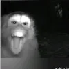 monito1192