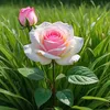 om.sajad416