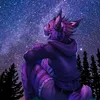 rocky.wolf6