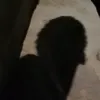 xa_r7q