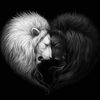 alin.andrei1086