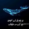 fisal.fisal33