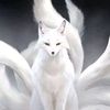 silverkitsuune