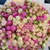 elya_blog0