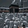 mohamad03710
