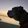 travelspeights