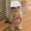 ben_elif2xs