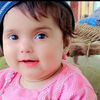 8755habib