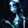 noellanew.account