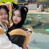 shiballanyeong8