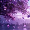 user80413869796012
