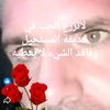abd_sy24