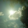 jesus_christ449