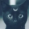 annecom_osgarraduendes