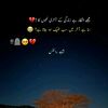 husnainhusnain4376