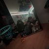 k4rmap0lice692