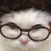 quyt_chua3