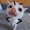 mirachu23