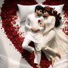 _mahmud_440