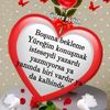 mclin.aamiin
