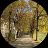_stendoff56