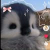user6610232149386