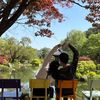 salarycouplesg