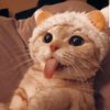 z.p..k.myie