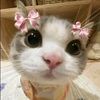 princess_aurora06
