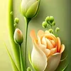 user6118618178211