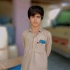 cricket_cup