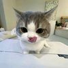 han_ji15