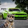 hadibangash88